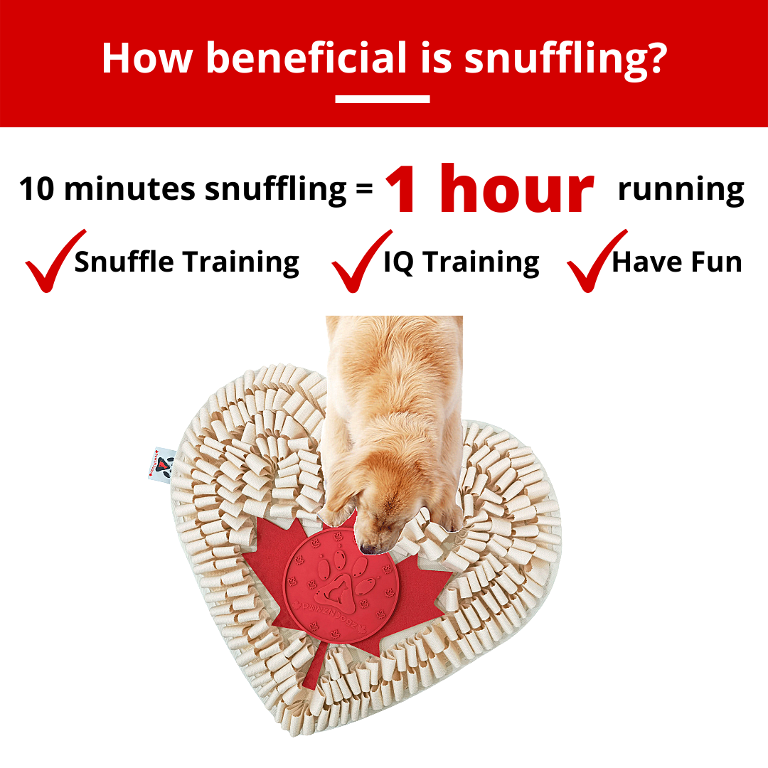 Training Pet Snuffle Mat – Lovepawz