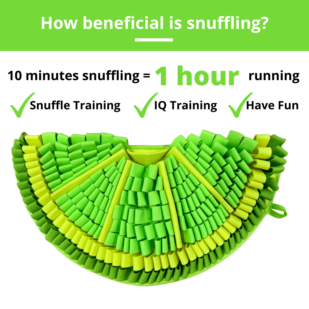 Snuffle Mats for Dogs