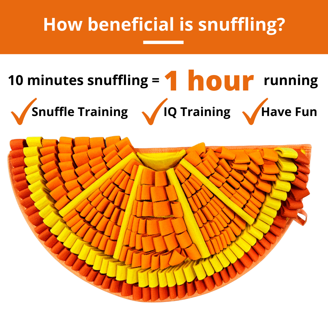 Snuffle Mat