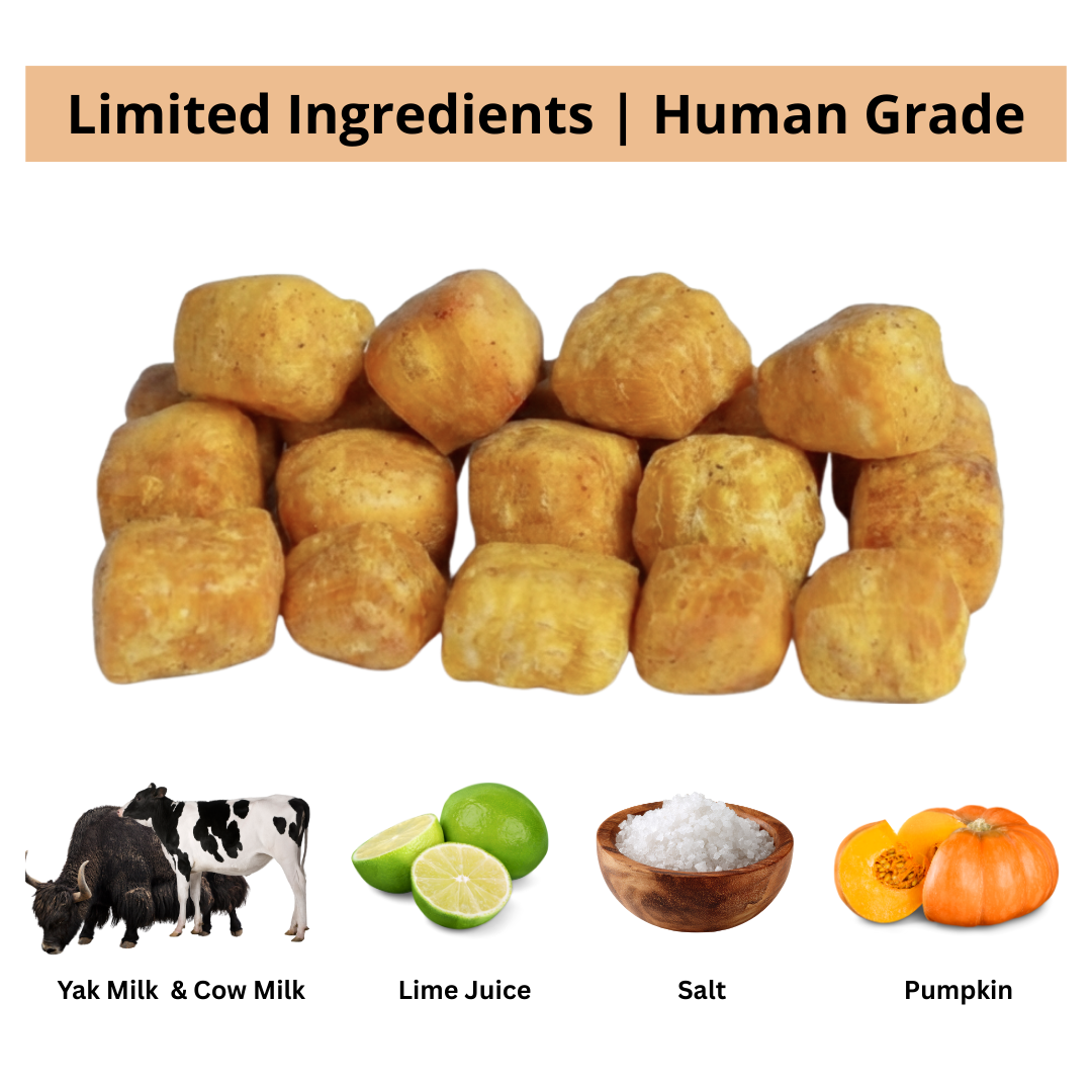 Yak Cheese Puffs for Dogs – Pumpkin
