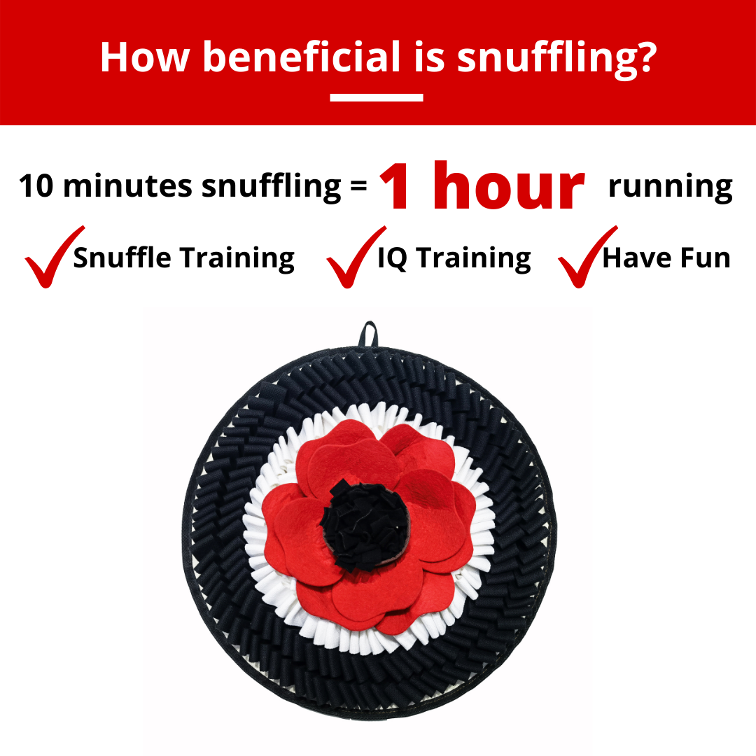 Best Snuffle Mat