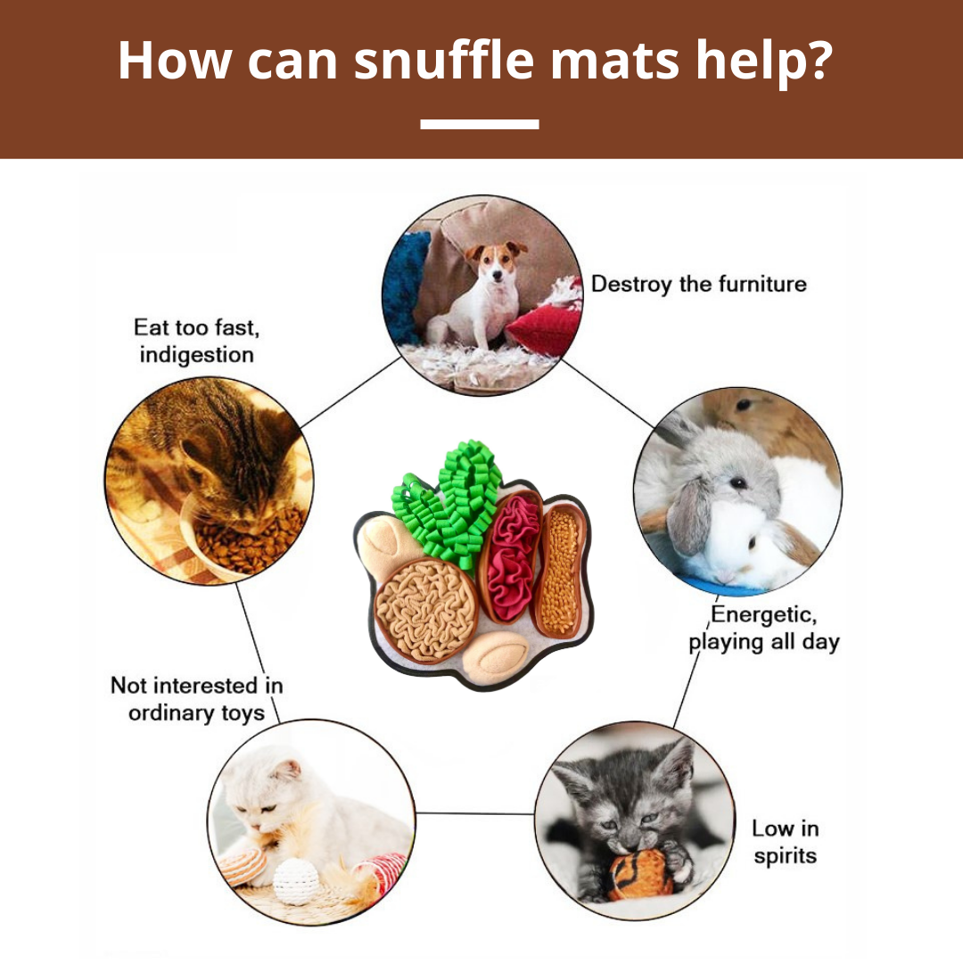 Buy Best Chonky Peanuts™ Snuffle Mat Online – PawzNDogz®