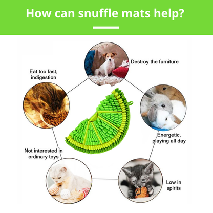 Sniffing Mat for Dogs