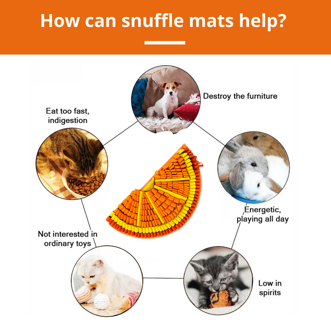 Snuffle Mat for Dogs