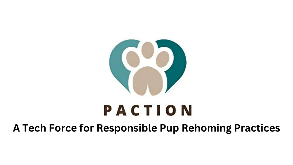 Paction