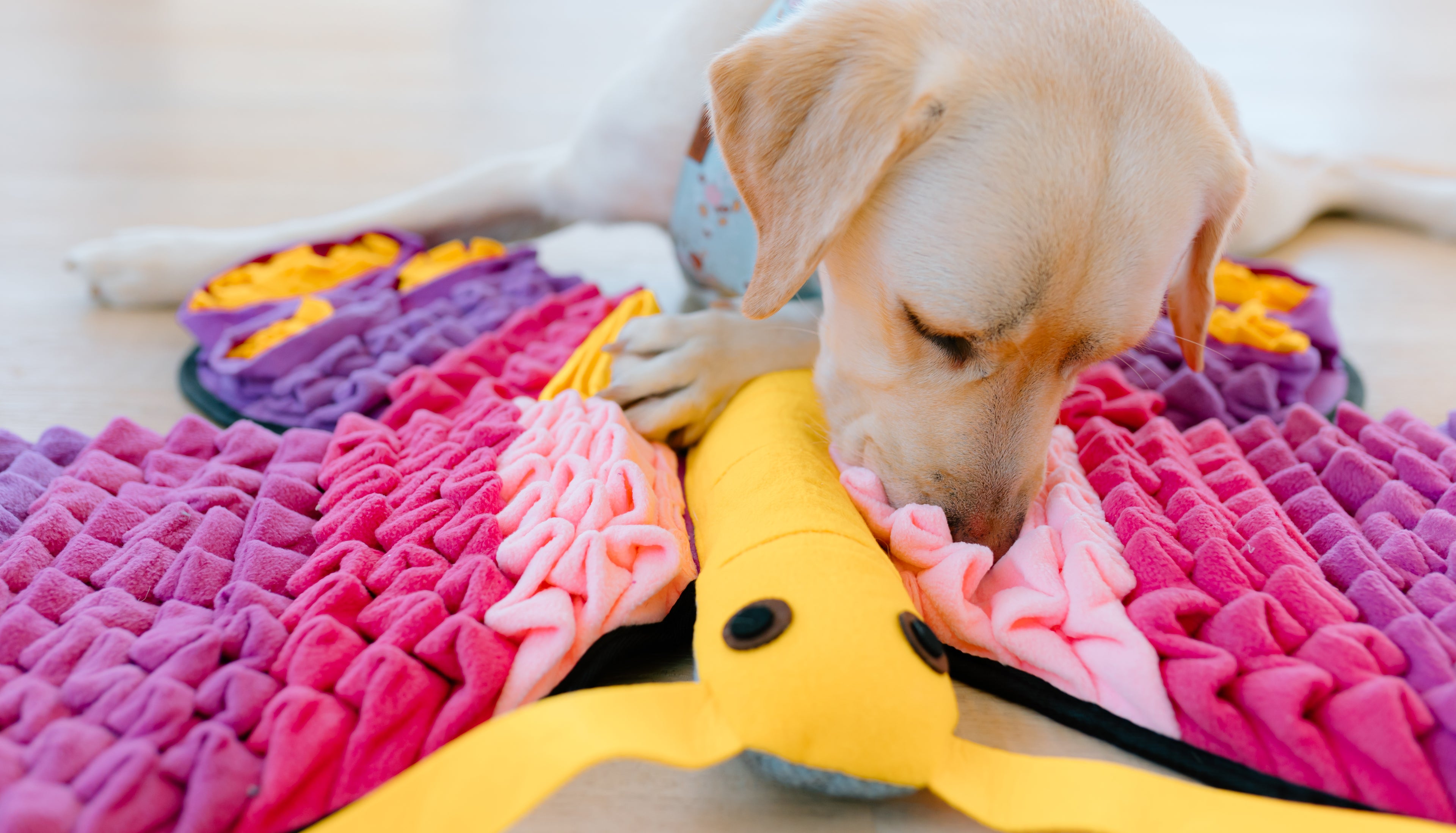 Snuffle Mats for Dogs