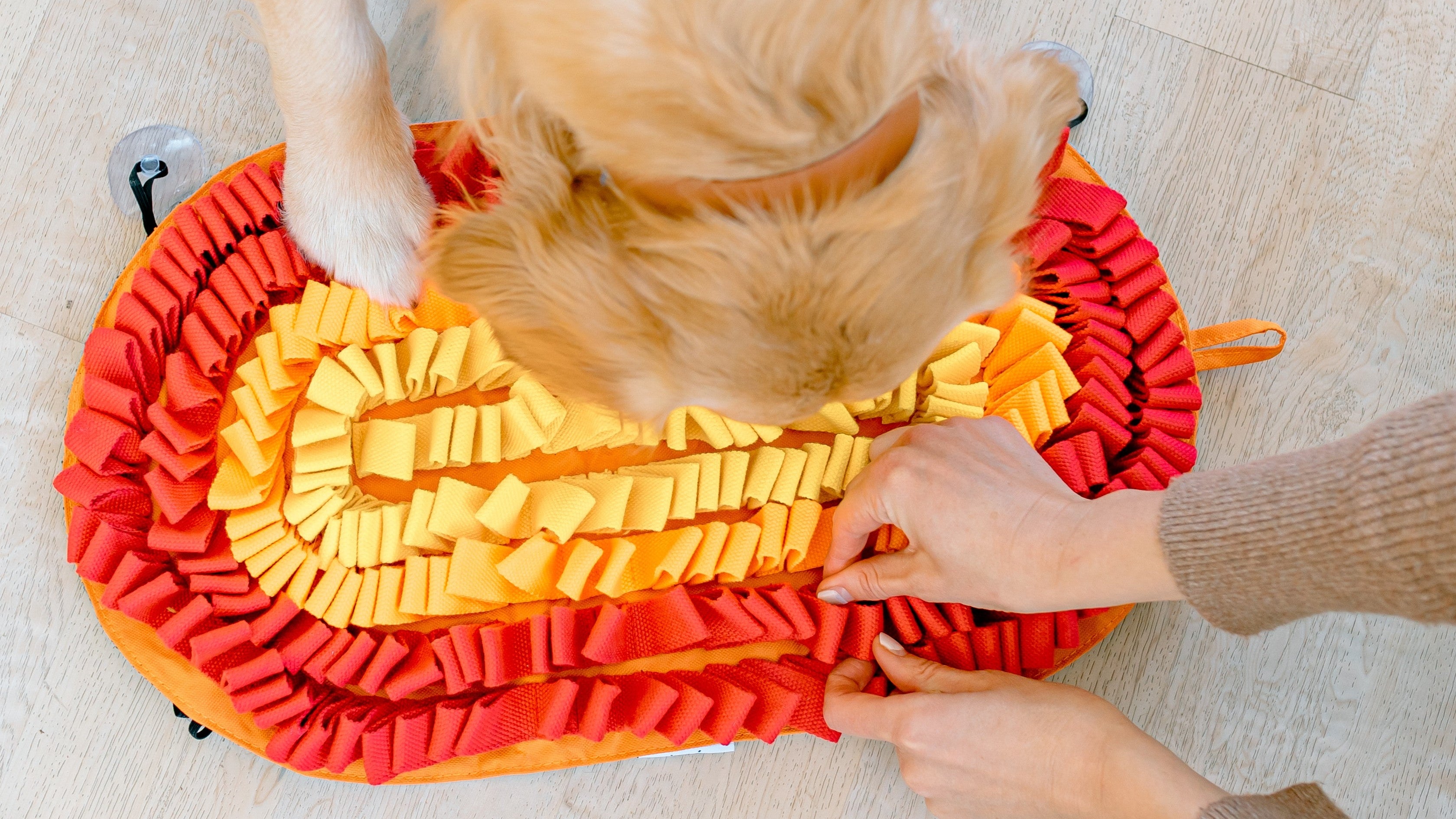 Snuffle Mats usage by a dog