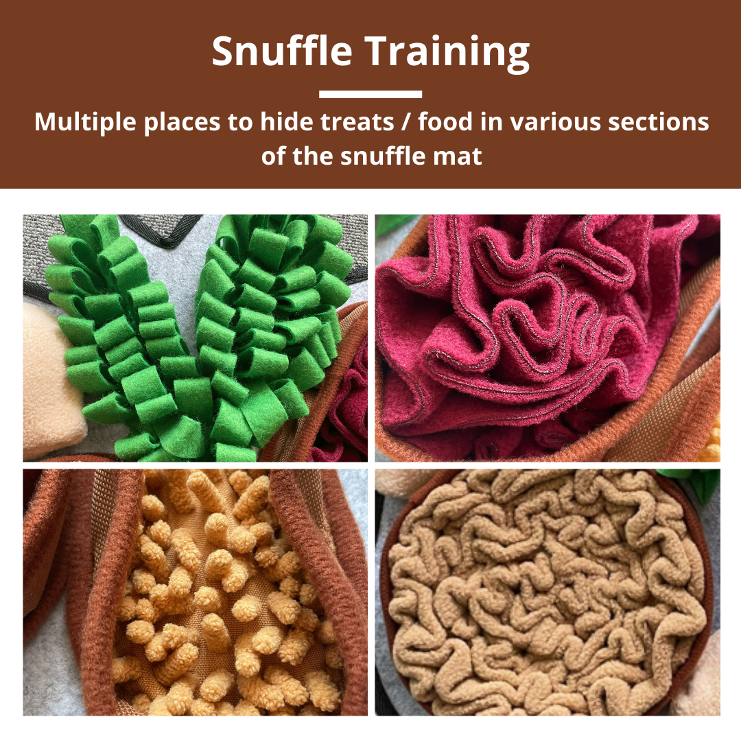 Buy Best Chonky Peanuts™ Snuffle Mat Online – PawzNDogz®