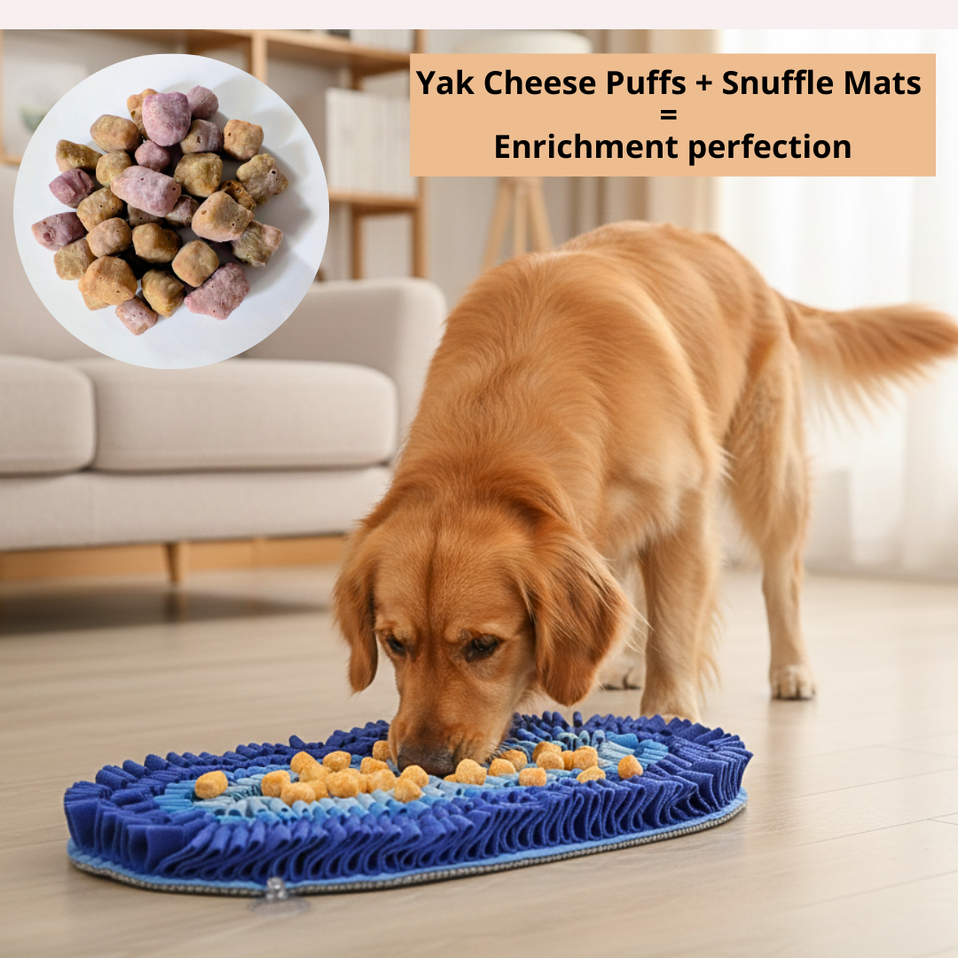 Yak Cheese Puffs for Dogs – Blueberry