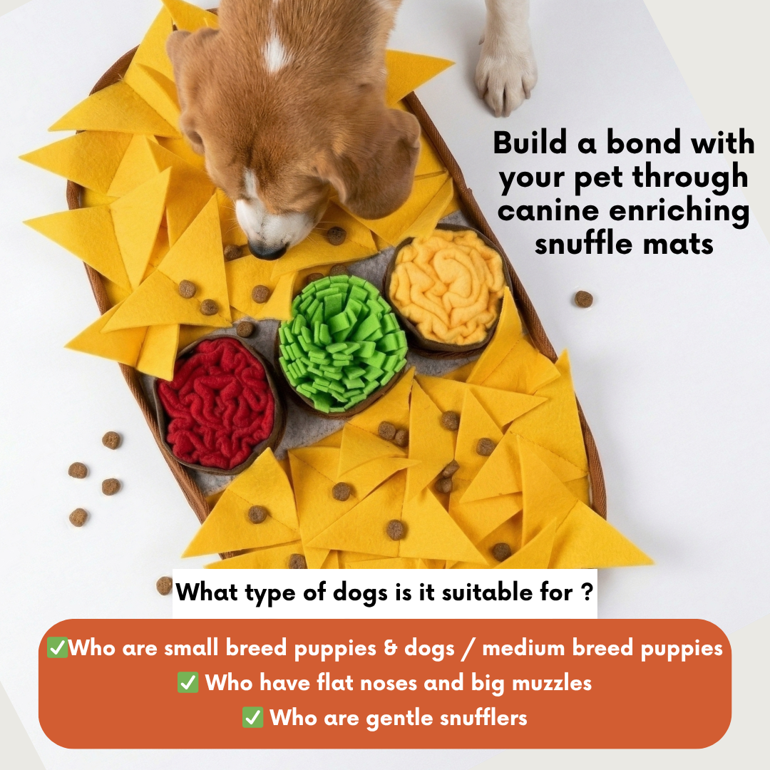 Cheesy Nachos™ by LuvMyFido