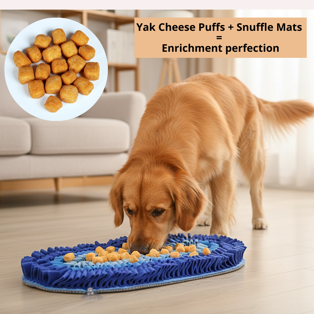 Yak Cheese Puffs for Dogs – Pumpkin