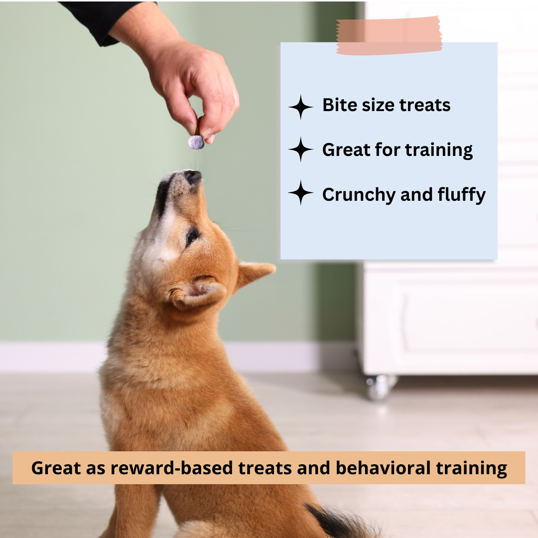 Yak Cheese Puffs for Dogs – Blueberry