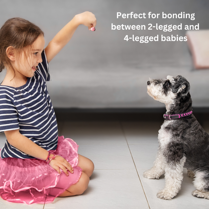 Yak Cheese Puffs for Dogs – Raspberry