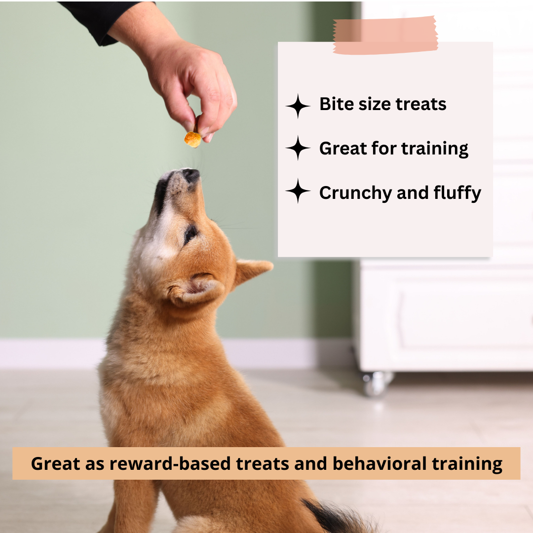 Yak Cheese Puffs for Dogs – Pumpkin