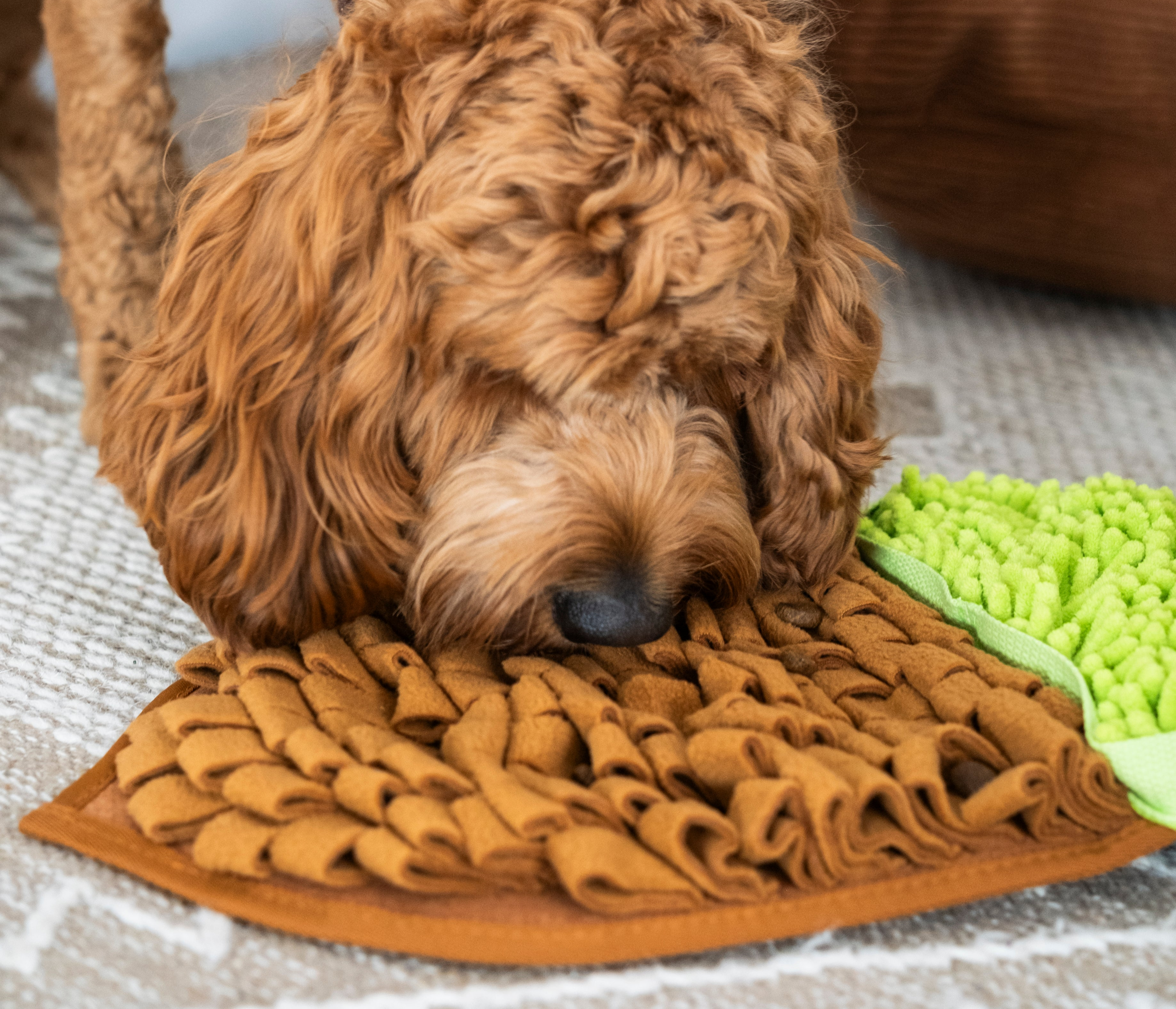 Snuffle Mats