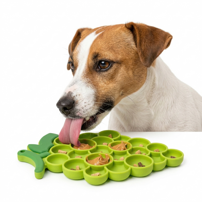 The Healthy Fruit Lick Mat Bundle