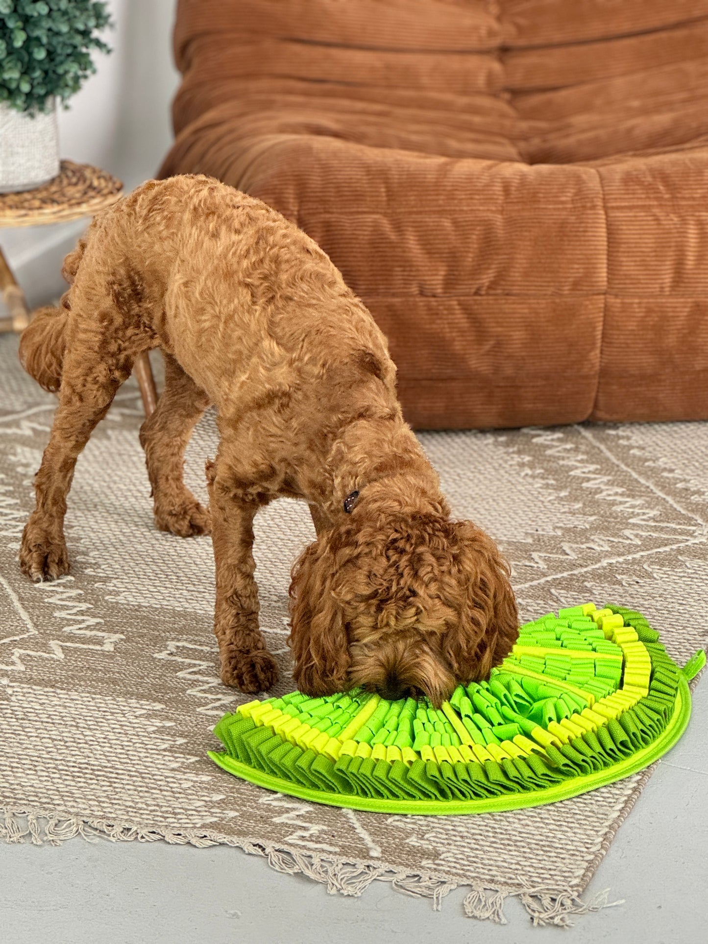 Best Dog Snuffle Mats