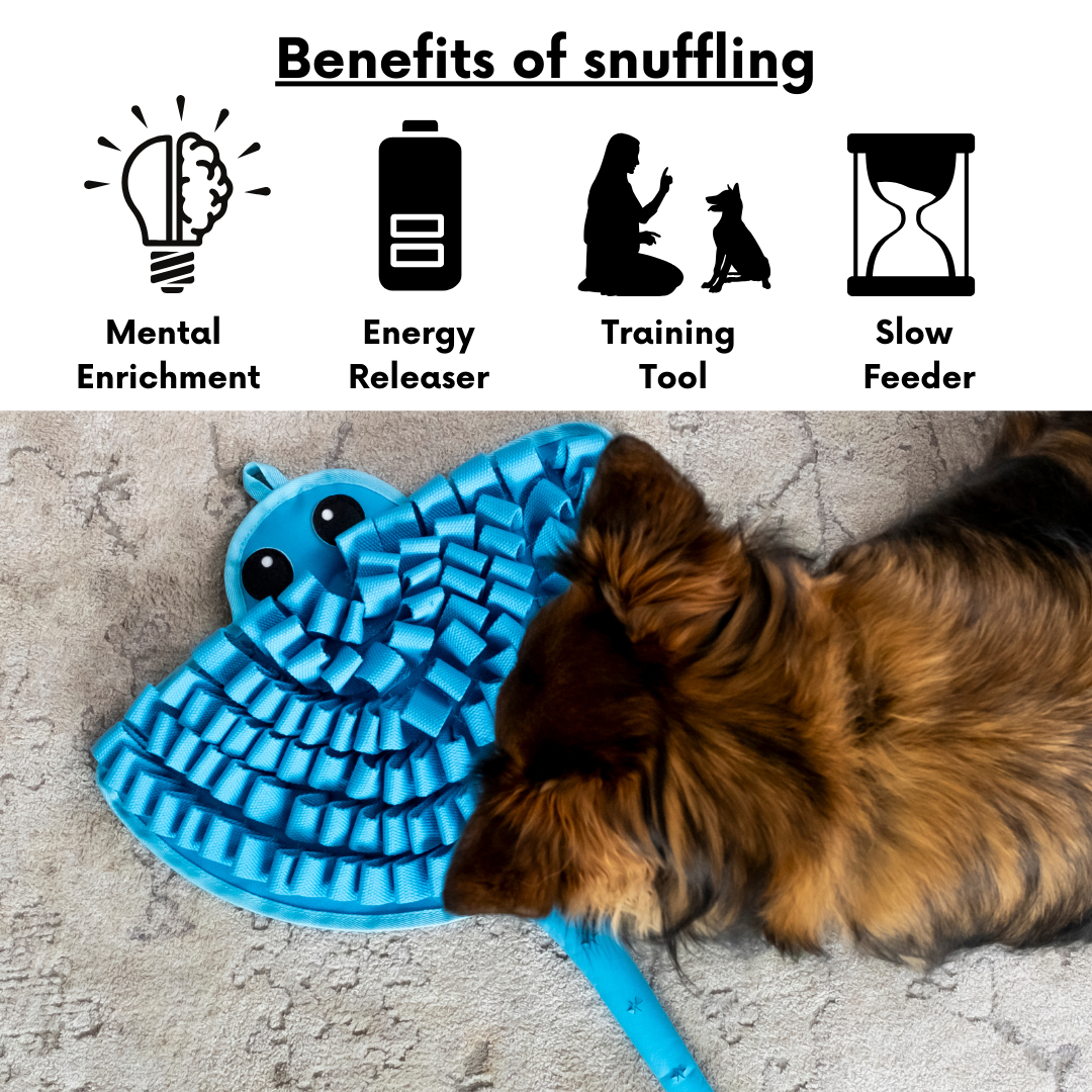 Sassy Stingray by LuvMyFido