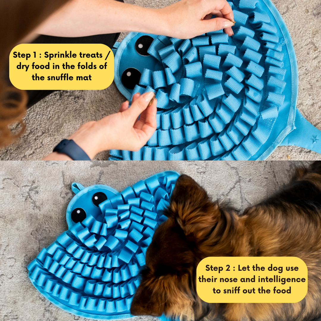 Sassy Stingray by LuvMyFido