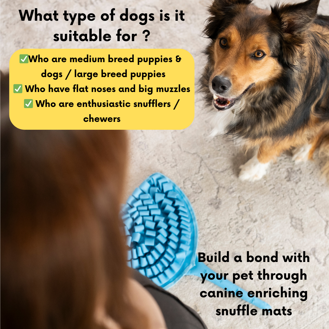 Sassy Stingray by LuvMyFido