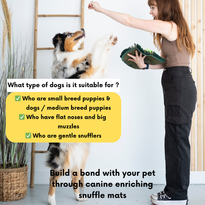 The East & West by LuvMyFido