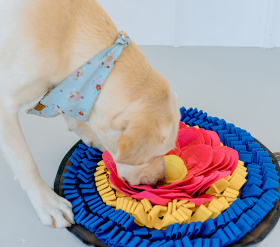 Snuffle Mat (Canine Enrichment) — Minnesota Basset Rescue