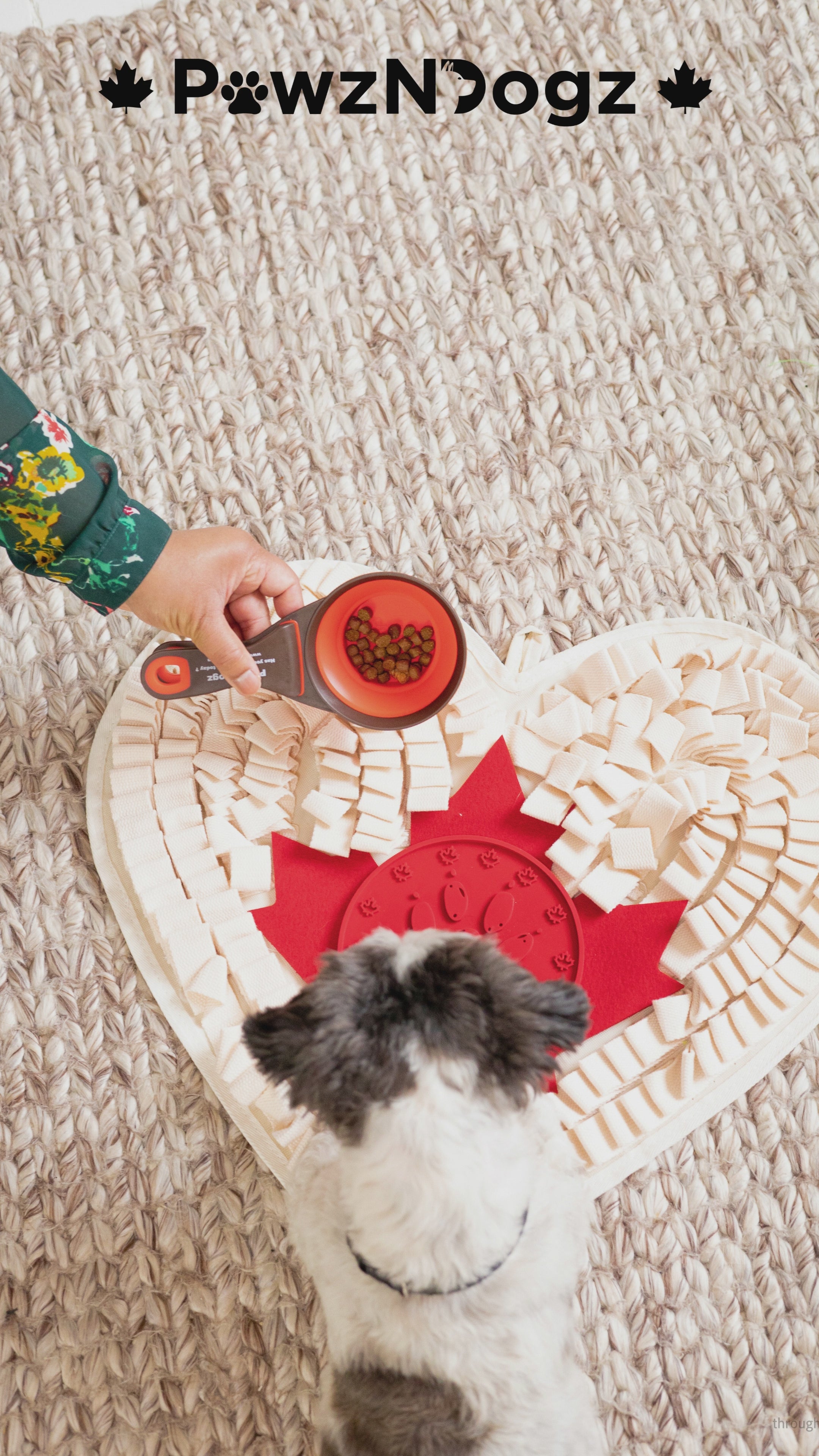 Charger la vidéo : pawzndogz snuffle mats for dog trainers