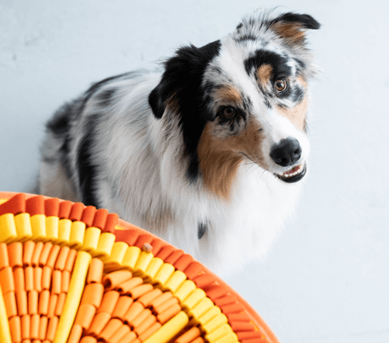 snuffle-mats-01