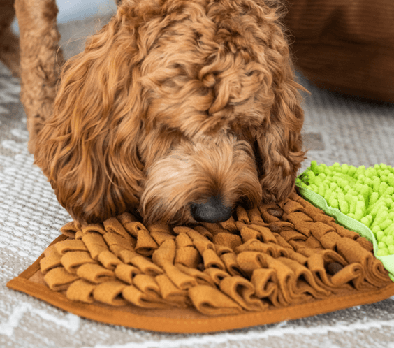 snuffle mats for dogs